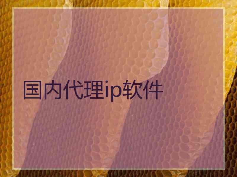 国内代理ip软件