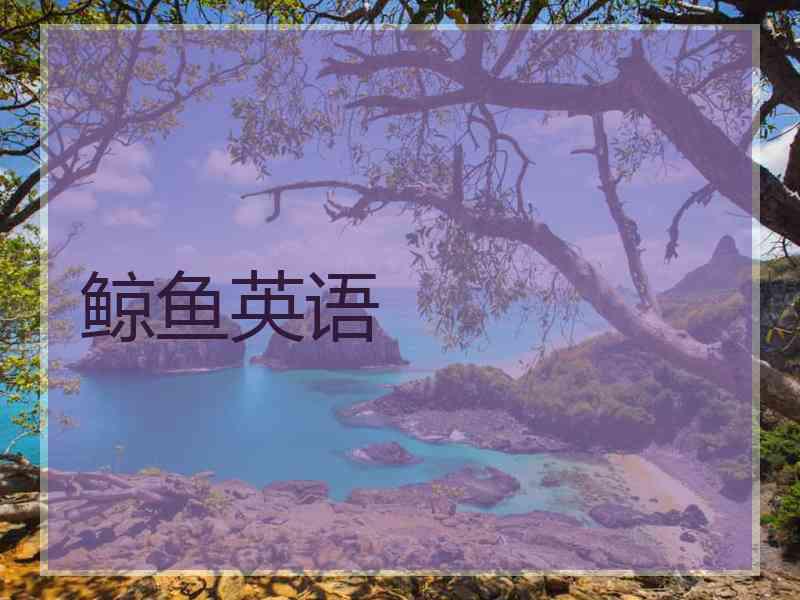 鲸鱼英语