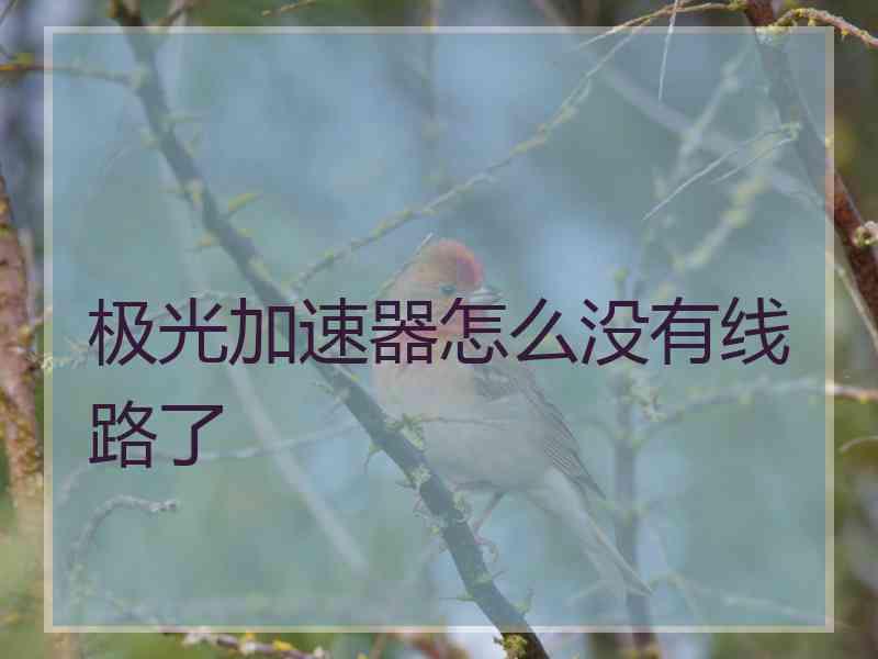 极光加速器怎么没有线路了