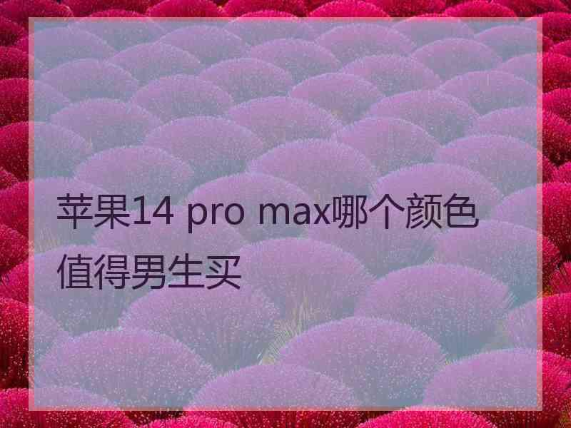 苹果14 pro max哪个颜色值得男生买