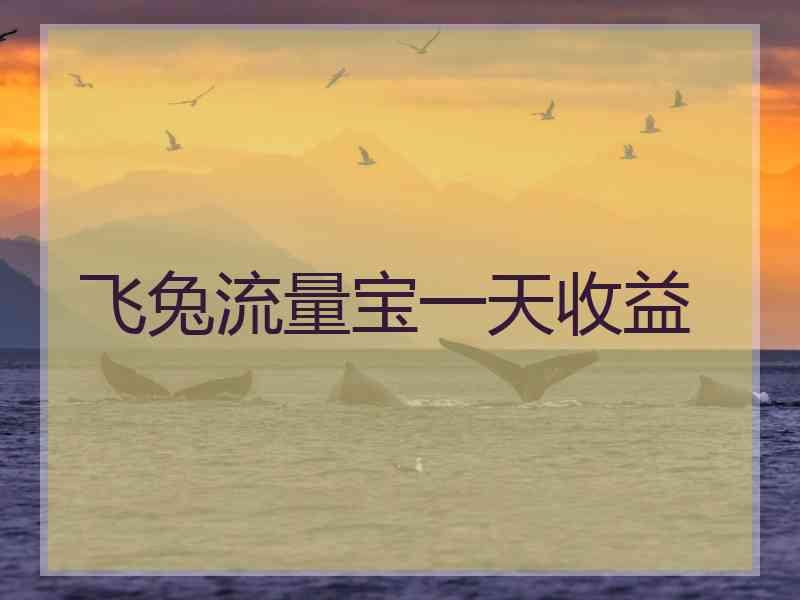 飞兔流量宝一天收益