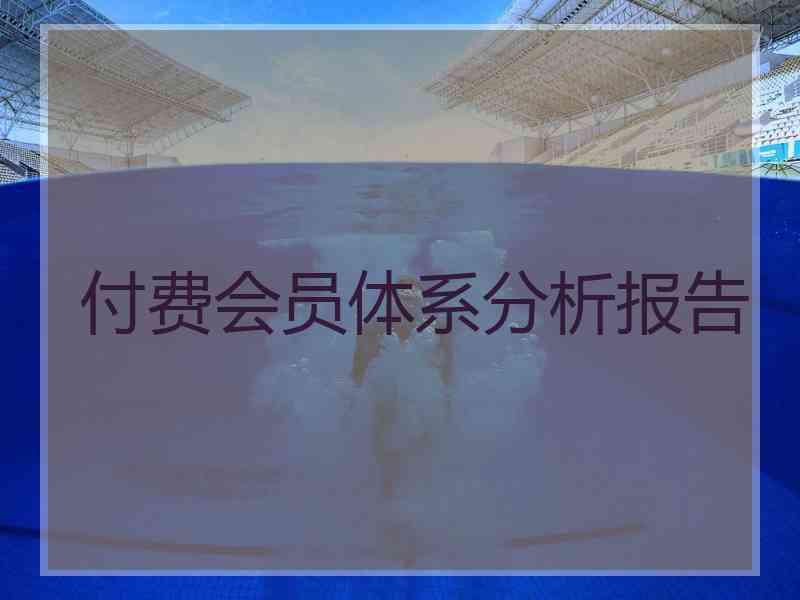 付费会员体系分析报告