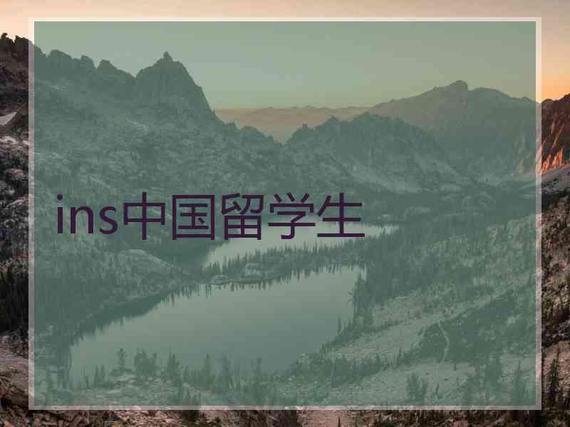 ins中国留学生