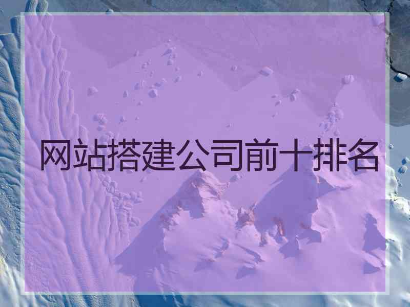 网站搭建公司前十排名