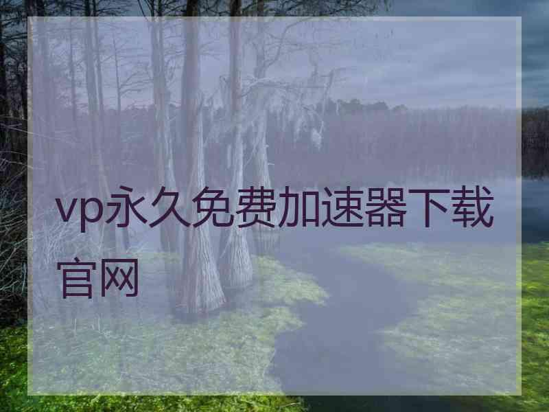 vp永久免费加速器下载官网
