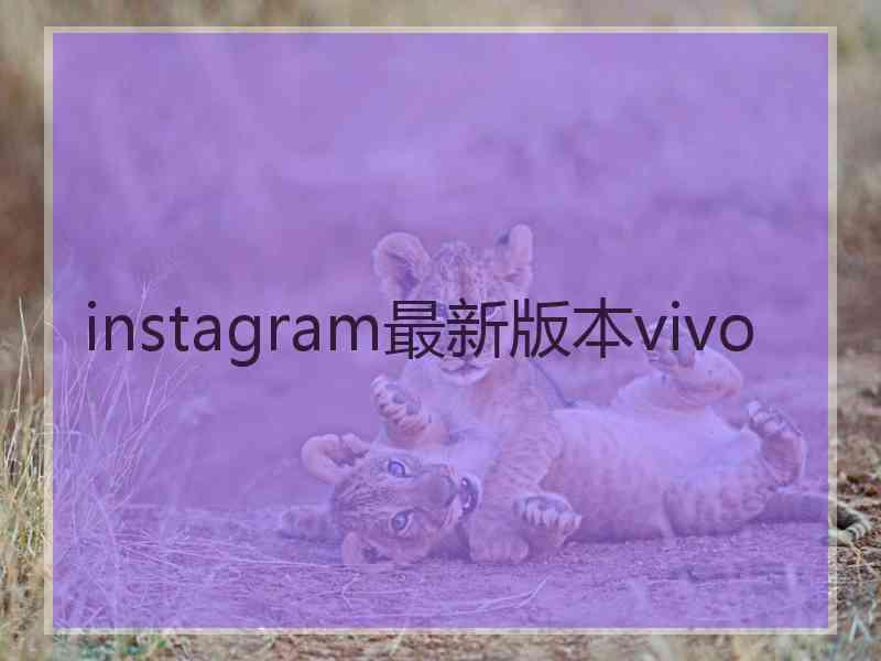 instagram最新版本vivo
