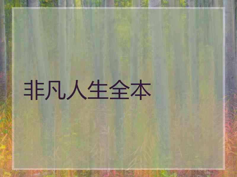 非凡人生全本