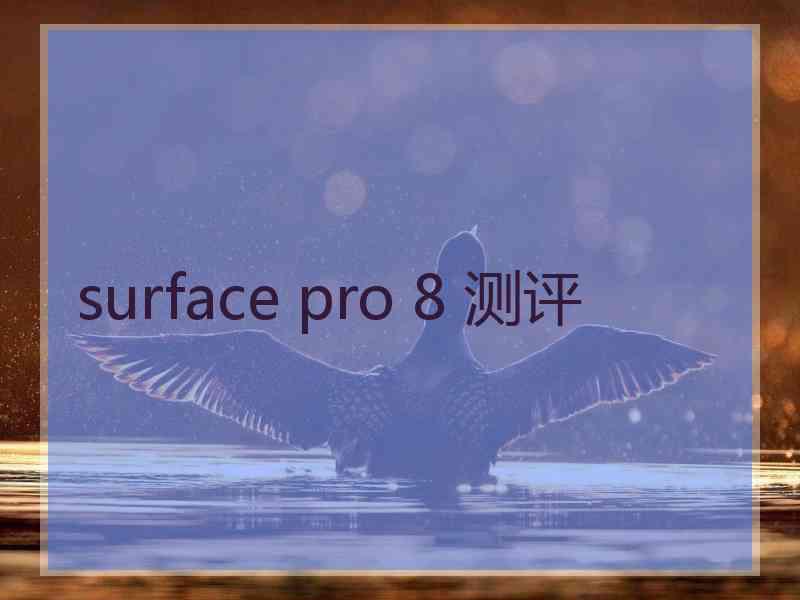 surface pro 8 测评