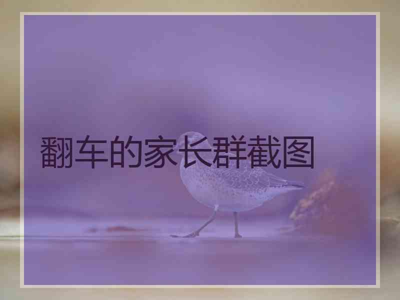 翻车的家长群截图