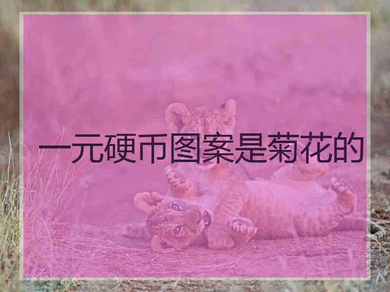 一元硬币图案是菊花的