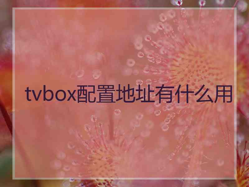 tvbox配置地址有什么用