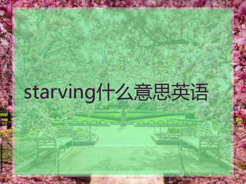 starving什么意思英语