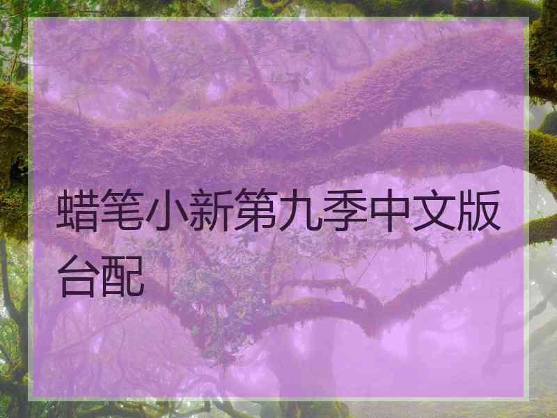蜡笔小新第九季中文版台配