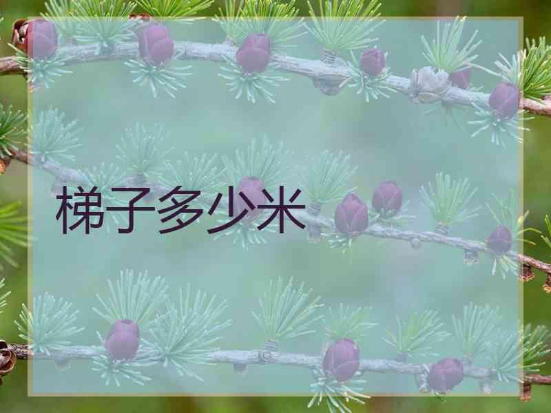 梯子多少米