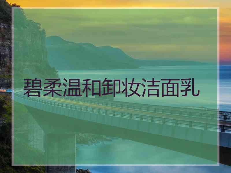 碧柔温和卸妆洁面乳