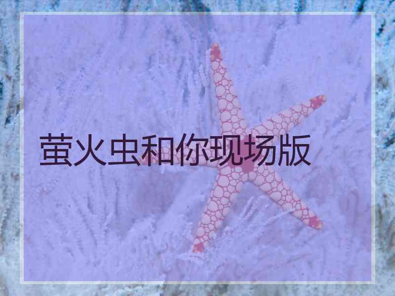 萤火虫和你现场版