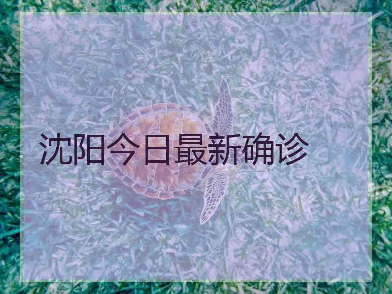 沈阳今日最新确诊