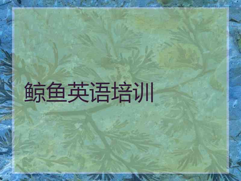 鲸鱼英语培训