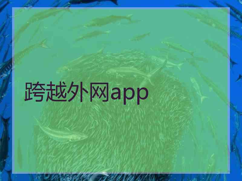 跨越外网app