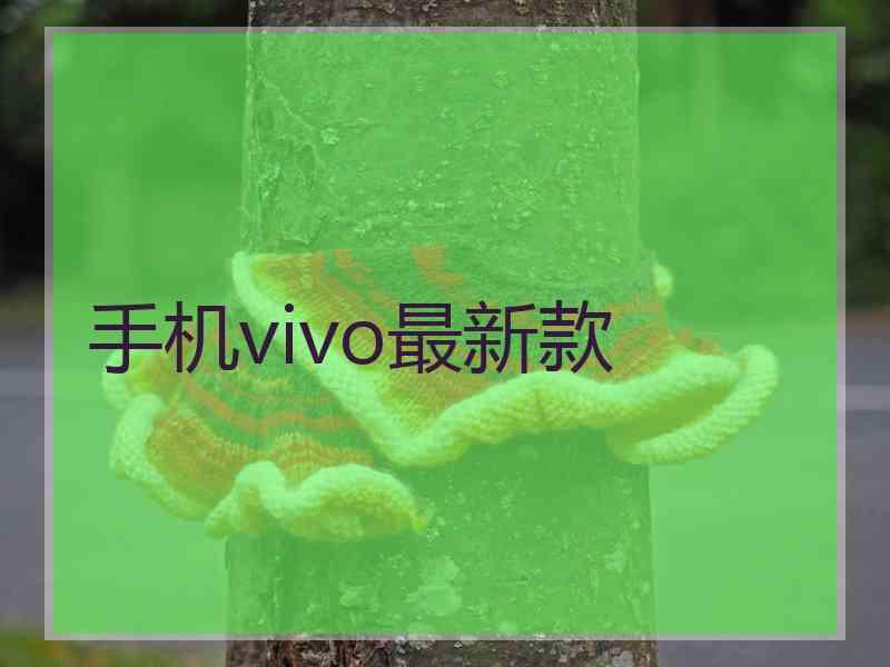 手机vivo最新款