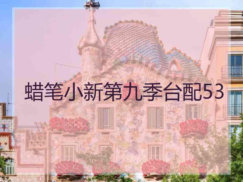 蜡笔小新第九季台配53