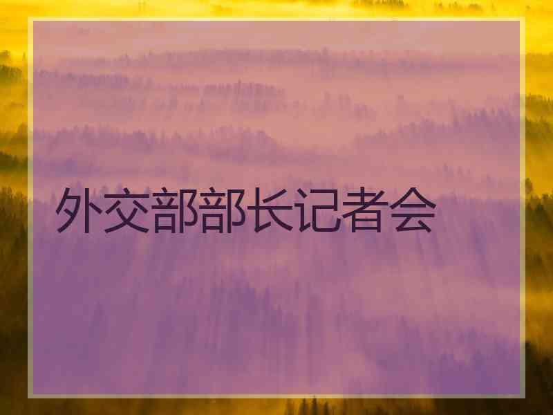 外交部部长记者会
