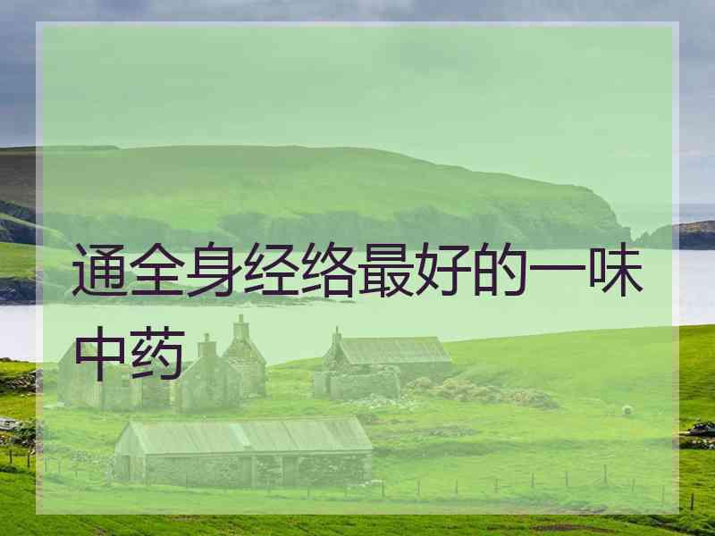 通全身经络最好的一味中药