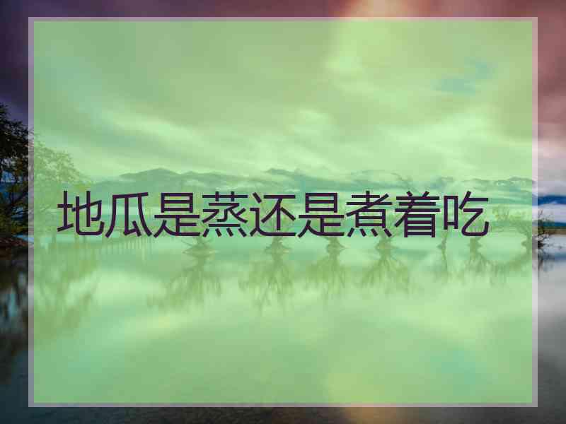 地瓜是蒸还是煮着吃