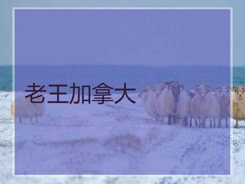 老王加拿大