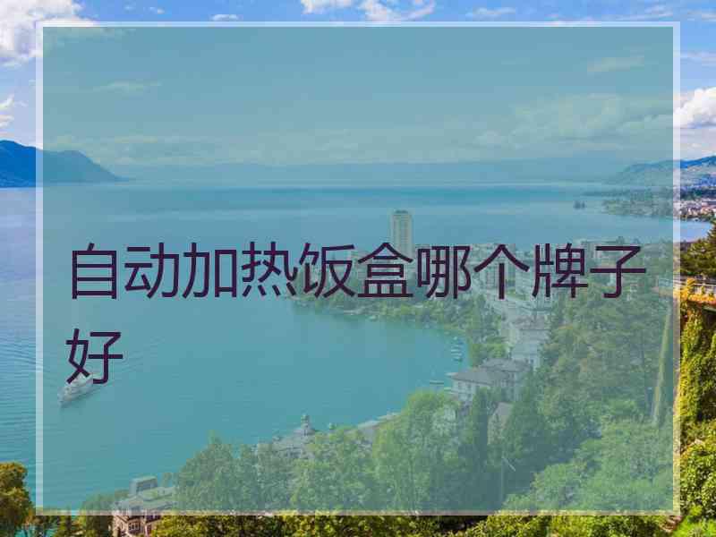 自动加热饭盒哪个牌子好
