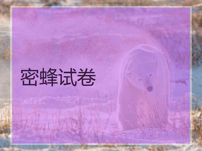 密蜂试卷