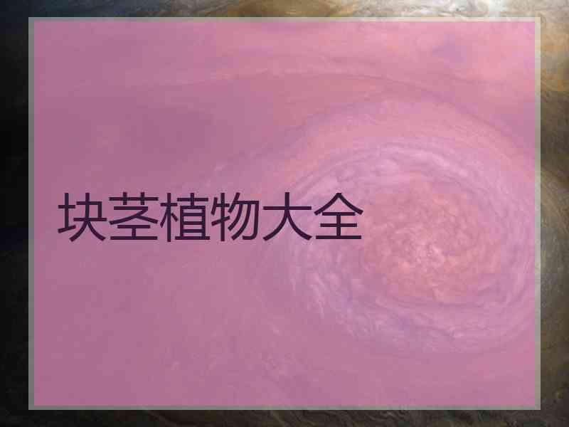 块茎植物大全