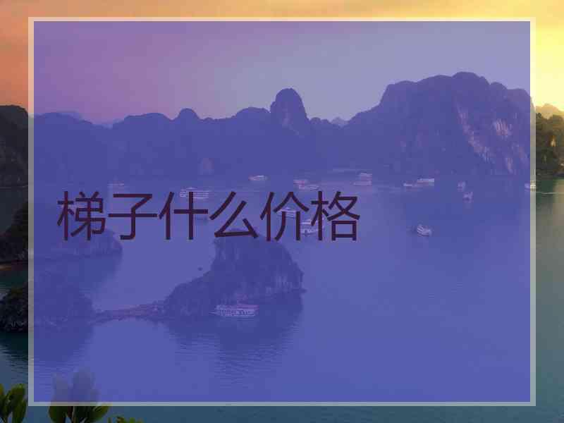 梯子什么价格