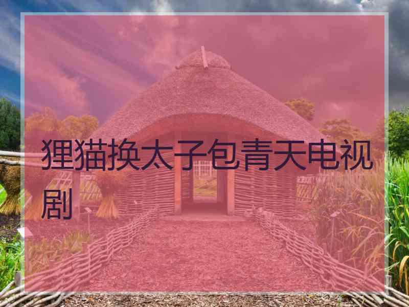 狸猫换太子包青天电视剧
