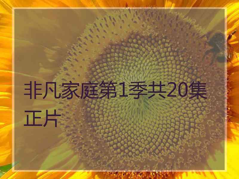 非凡家庭第1季共20集正片