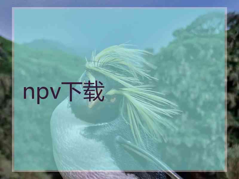 npv下载