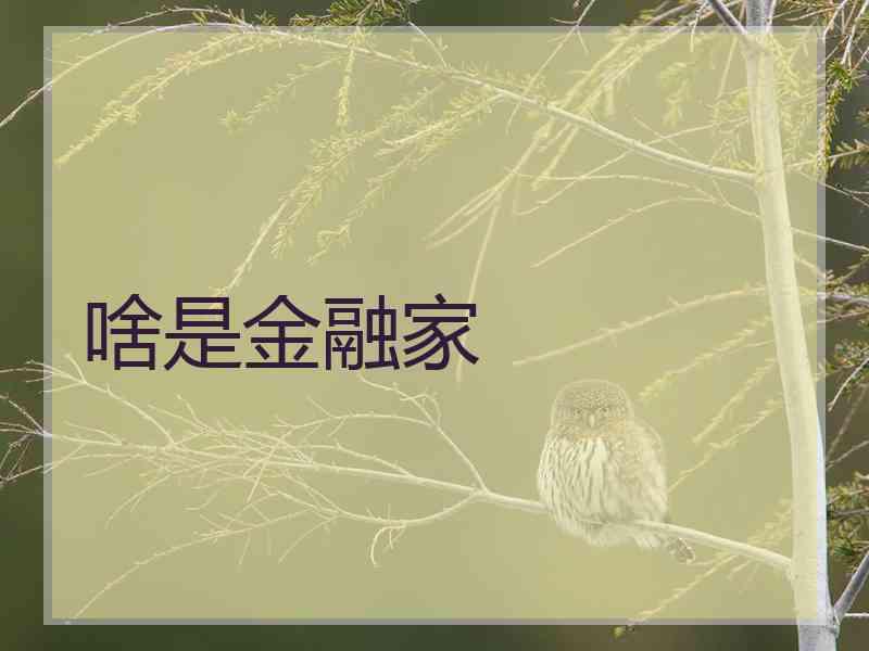 啥是金融家