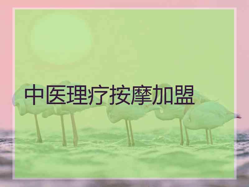 中医理疗按摩加盟