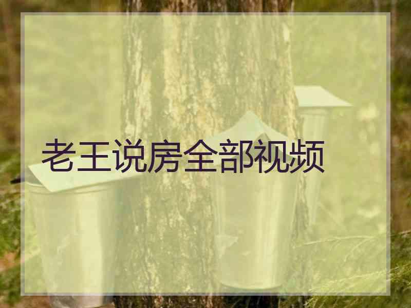 老王说房全部视频