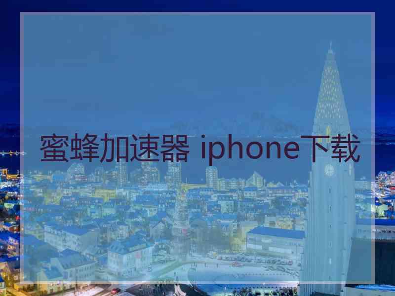 蜜蜂加速器 iphone下载