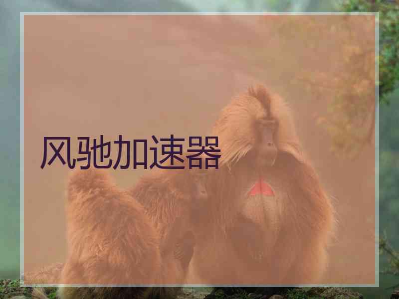 风驰加速器