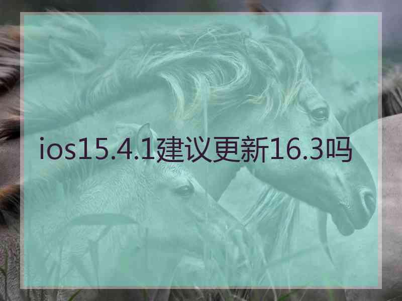 ios15.4.1建议更新16.3吗