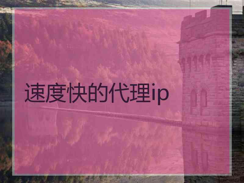 速度快的代理ip
