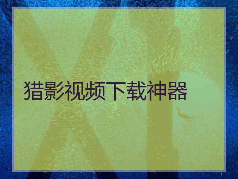 猎影视频下载神器