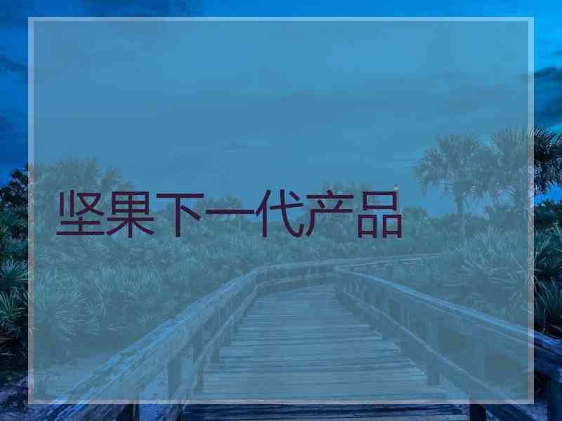 坚果下一代产品