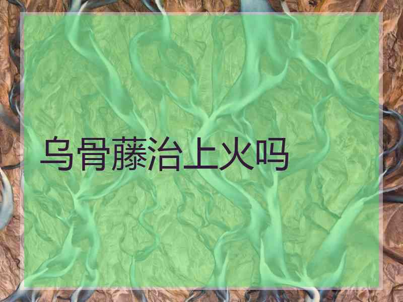 乌骨藤治上火吗