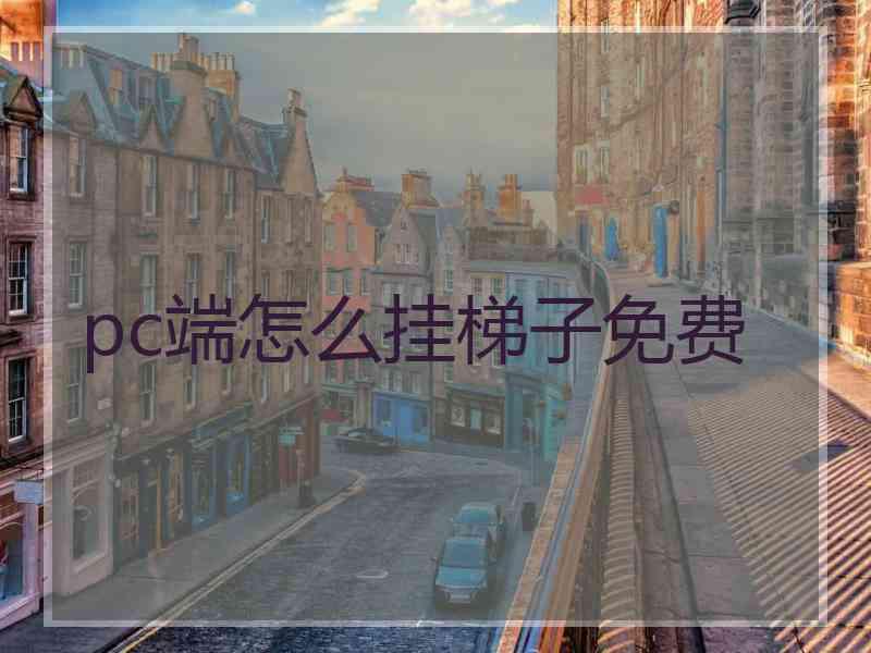 pc端怎么挂梯子免费