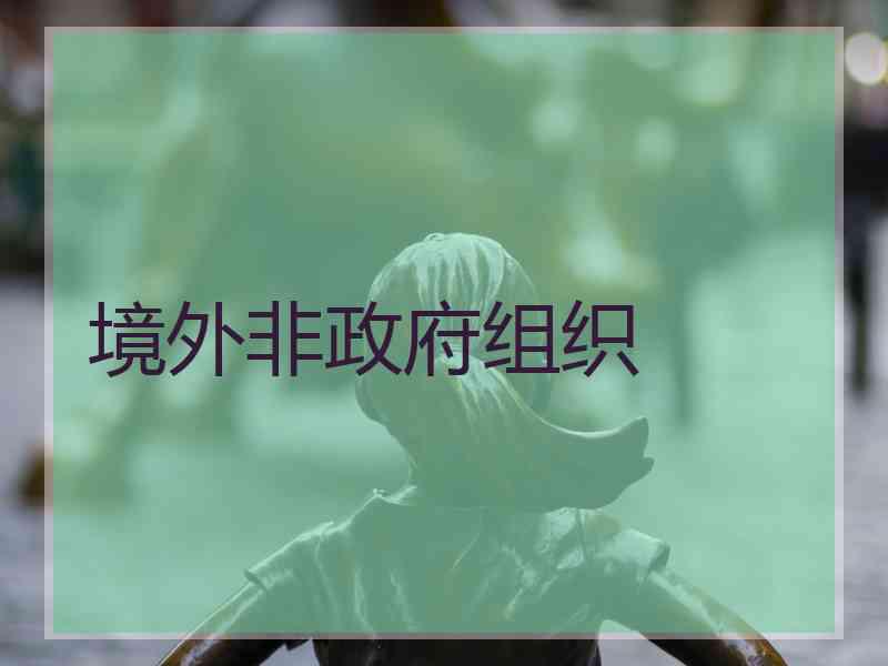 境外非政府组织