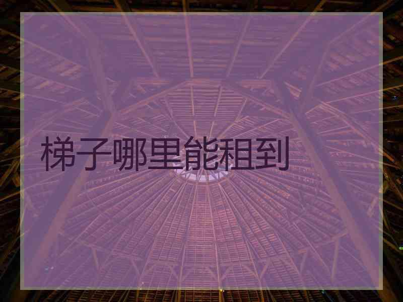 梯子哪里能租到