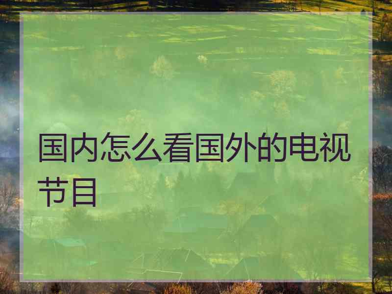 国内怎么看国外的电视节目